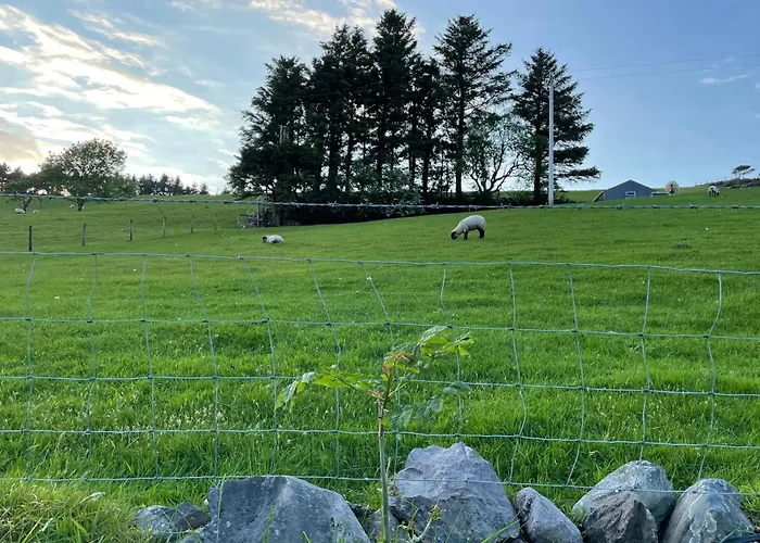 Sean Ogs House Hébergement de vacances *